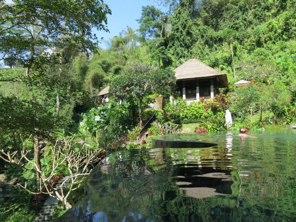 Spa-Pool Maya Ubud Resort & Spa Bali
