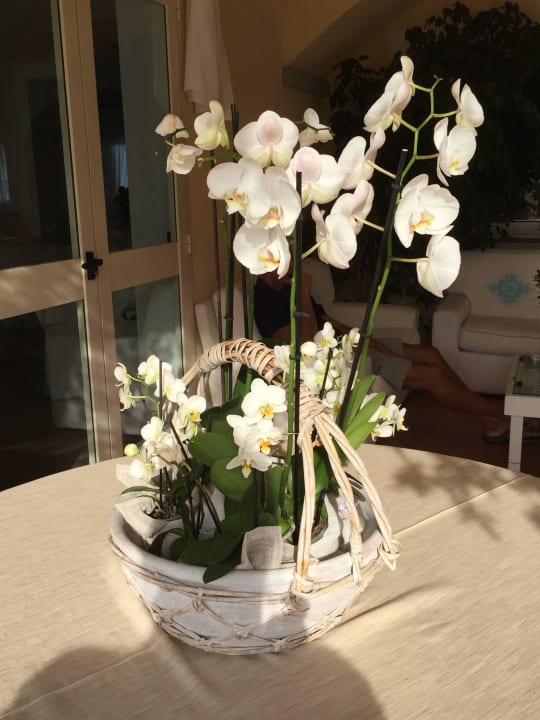 Deko im Hotel Gabbiano Azzurro Hotel & Suites