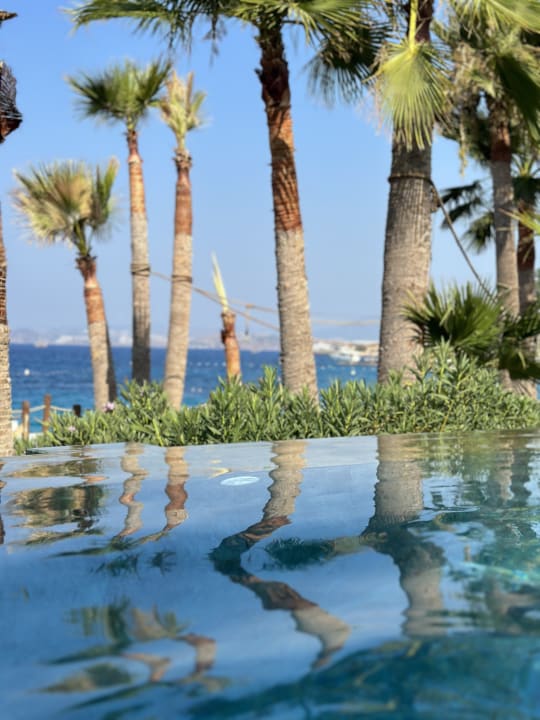 Pool TUI MAGIC LIFE Bodrum - Adult Only (16+)