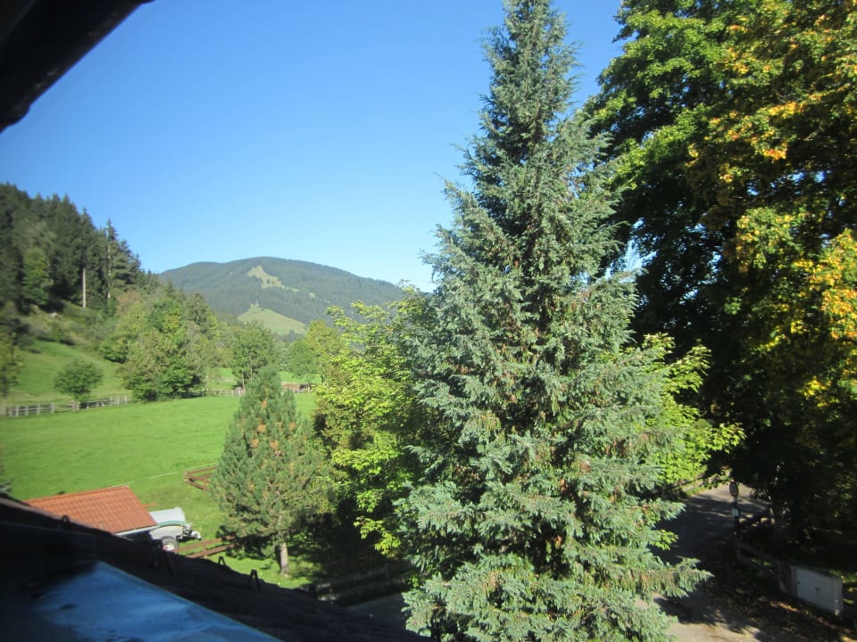 Küchenblick Apartments Alpensonne 2000