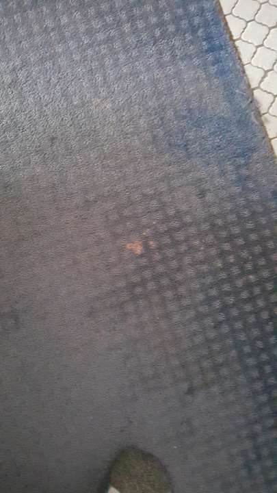 Fleckig  Hotel Stadt Hamm