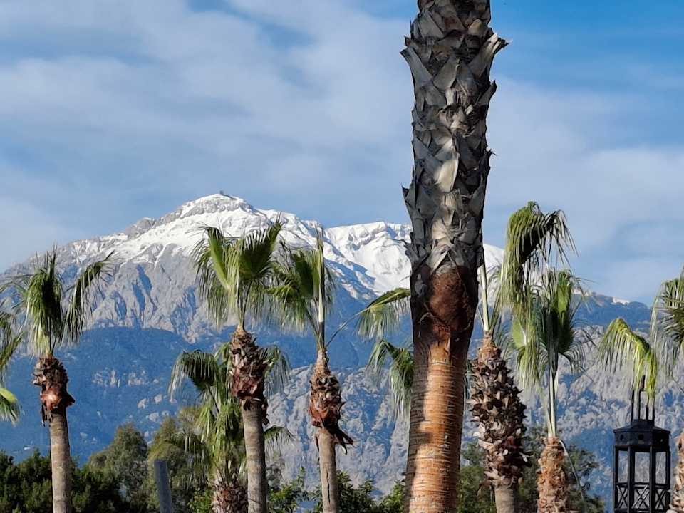 Ausblick Limak Limra Hotel & Resort