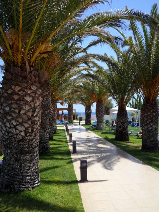 Gartenanlage Mitsis Faliraki