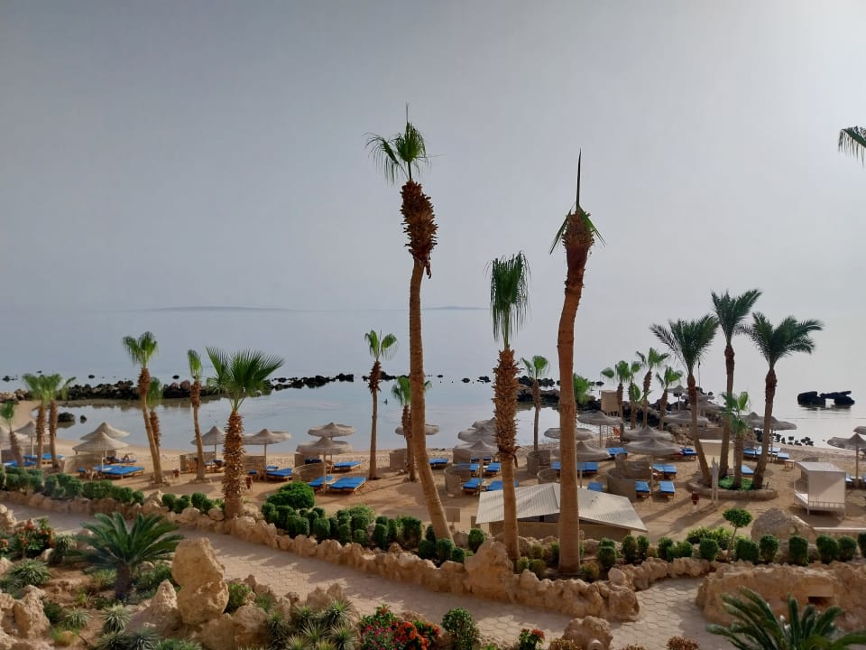 Strand Pickalbatros Citadel Resort