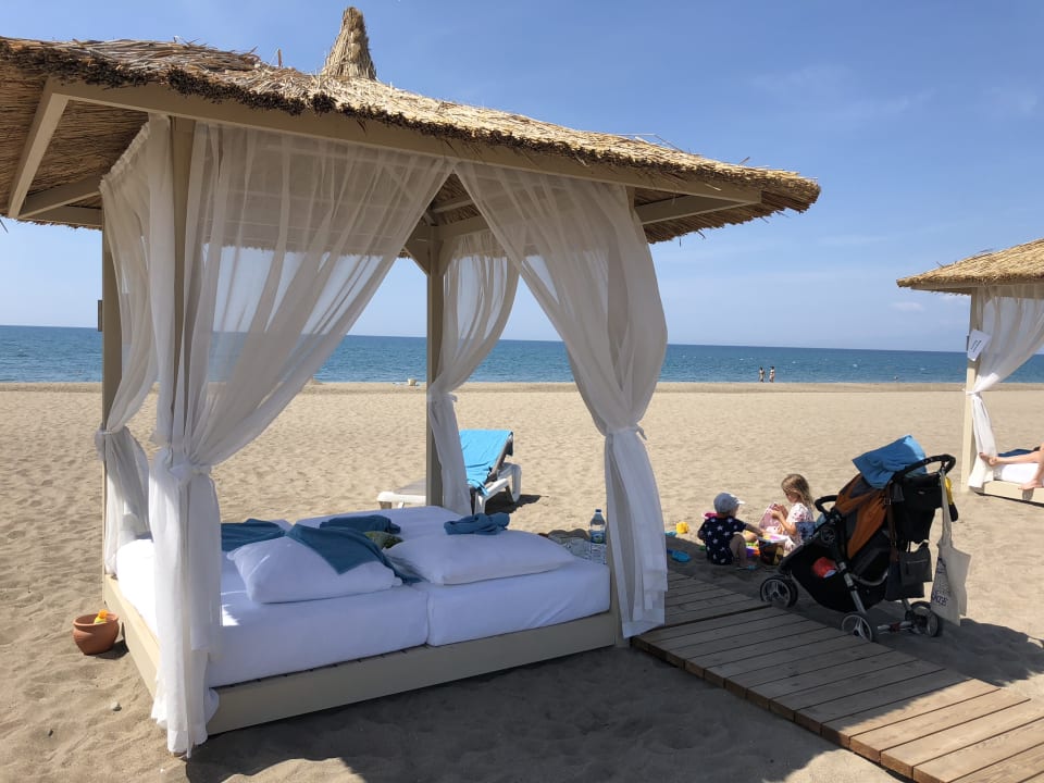 Strand ROBINSON NOBILIS