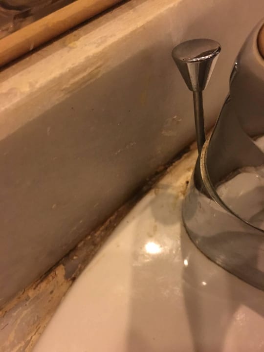 Schimmel im Bad Desert Rose