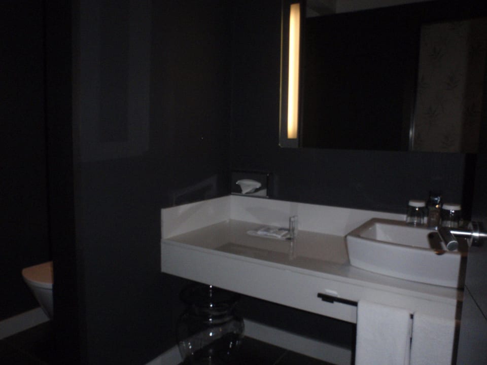 Baño Barceló Brno Palace