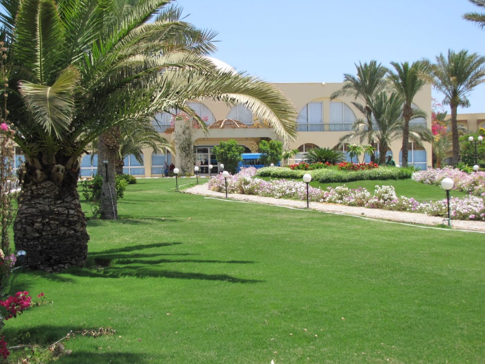 Ansprechender Hoteleingang Desert Rose