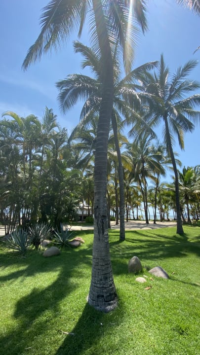Strand Hotel Riu Jalisco
