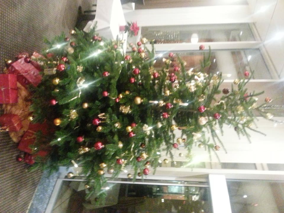 Restaurantbereich Best Western Plus Palatin Kongresshotel