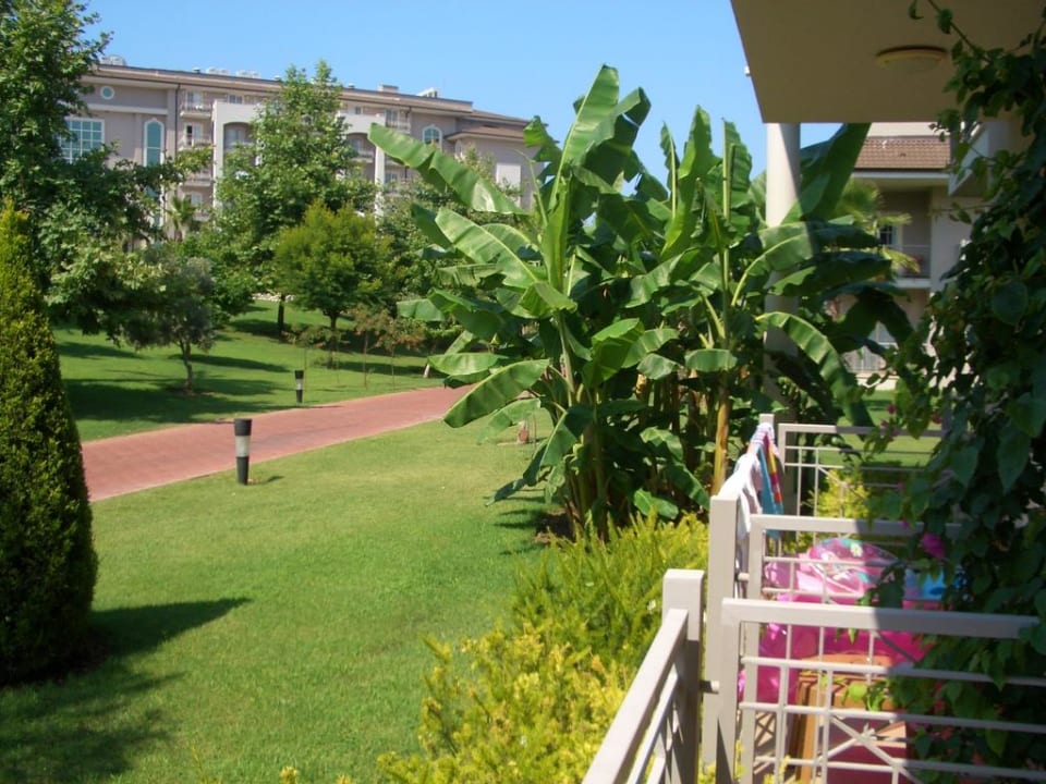 Vom Zimmer aus geschossen Sunis Elita Beach Resort & Spa