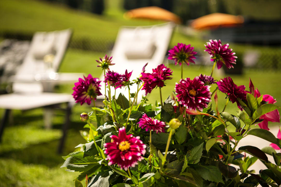 Gartenanlage Hotel Alpenhof