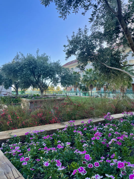 Gartenanlage Sentido Trendy Verbena Beach