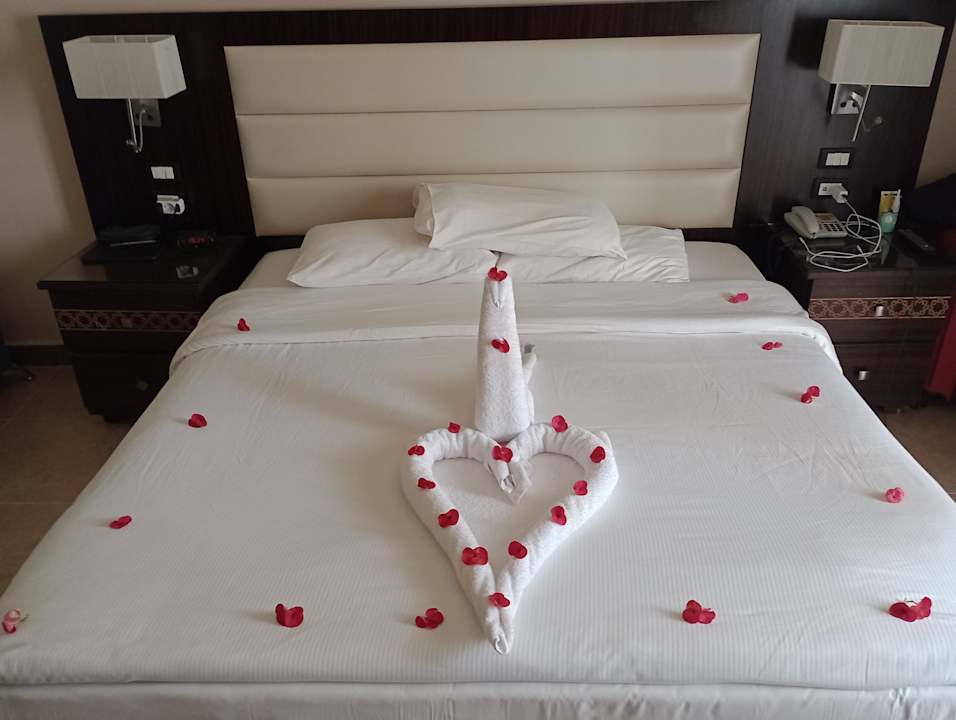 Zimmer Pickalbatros Palace Resort