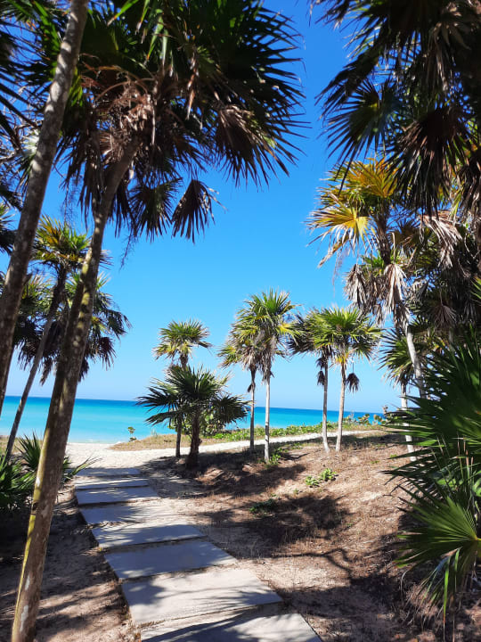 Strand Iberostar Origin Bella Vista Varadero