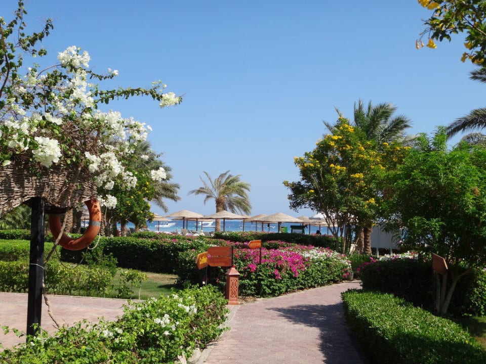 Blick zum Strand Fort Arabesque Resort, Spa & Villas
