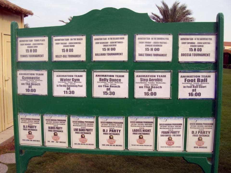 Animationsfahrplan Pickalbatros Dana Beach Resort - Hurghada