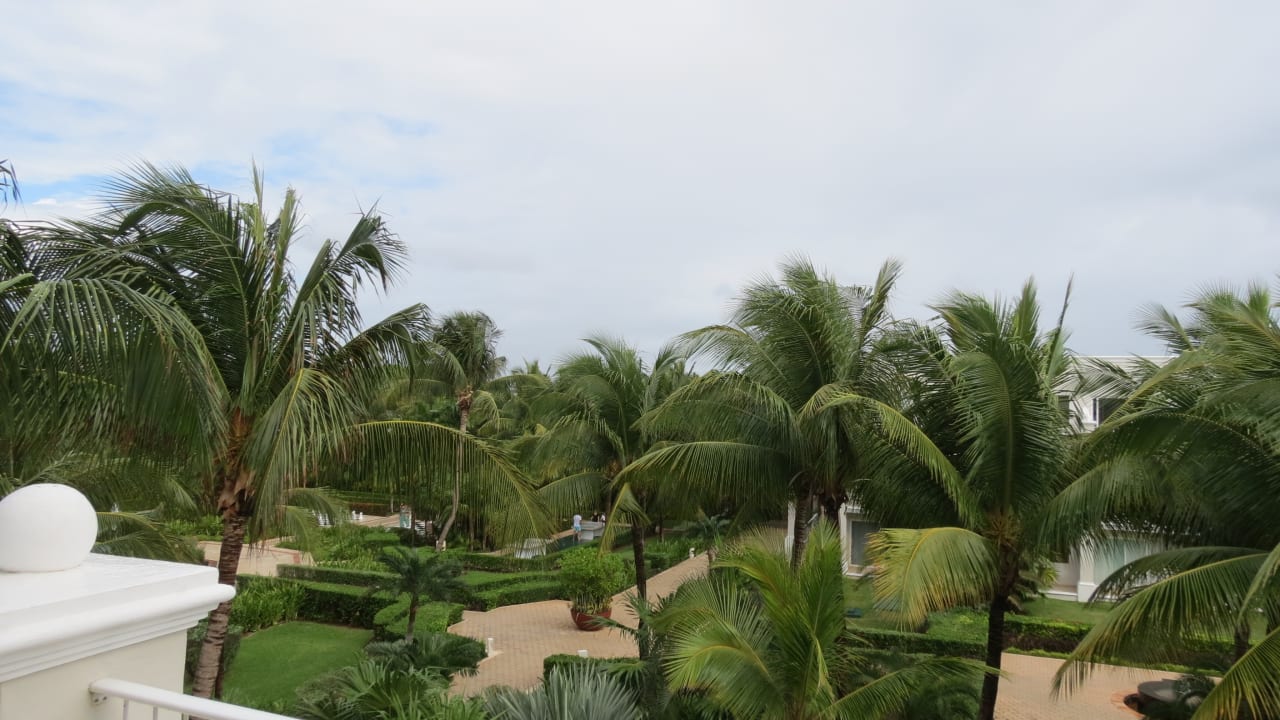 Ausblick Dreams Tulum Resort & Spa