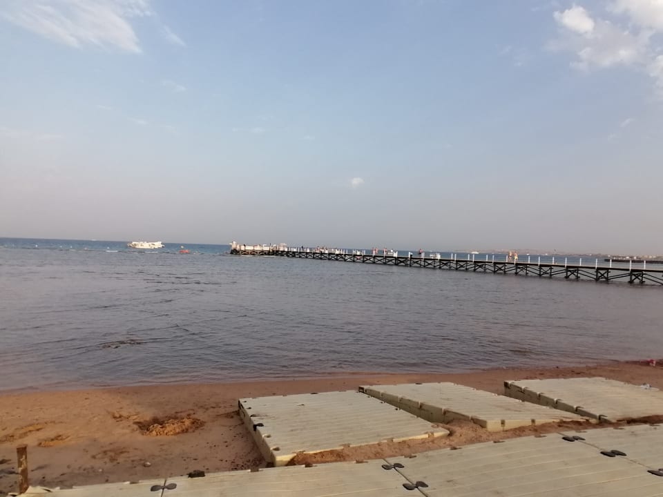 Strand Pickalbatros Palace Resort