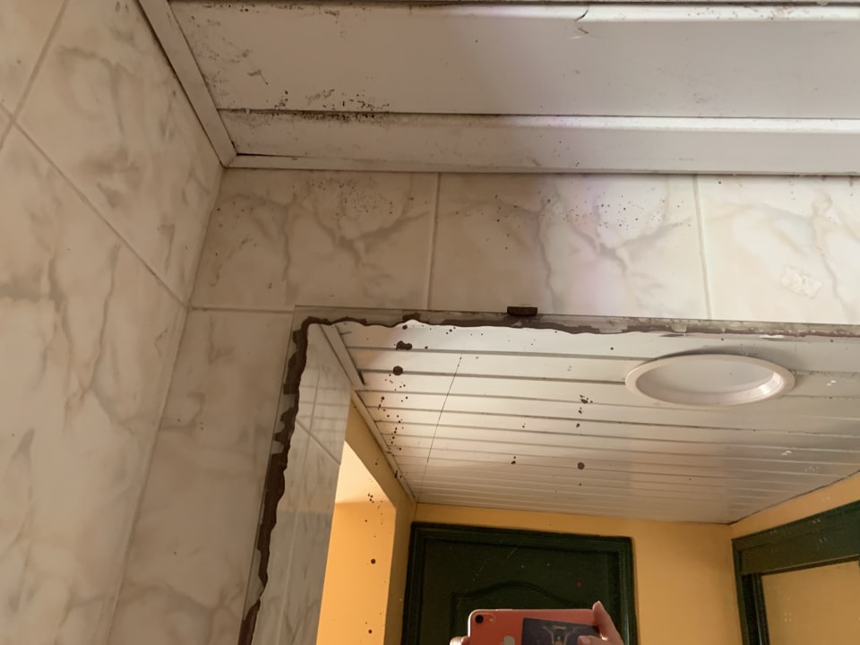 Zimmer Hotel Los Delfines Horizontes