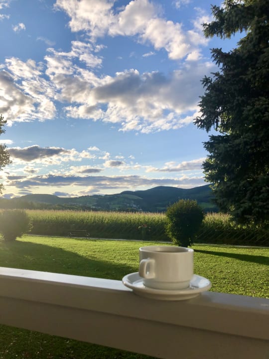 Ausblick Wilfinger Ring Bio Hotel