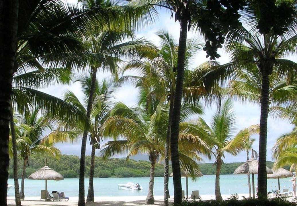 Ausblick vom zimmer auf die Blue Bay Shandrani Beachcomber Resort & Spa