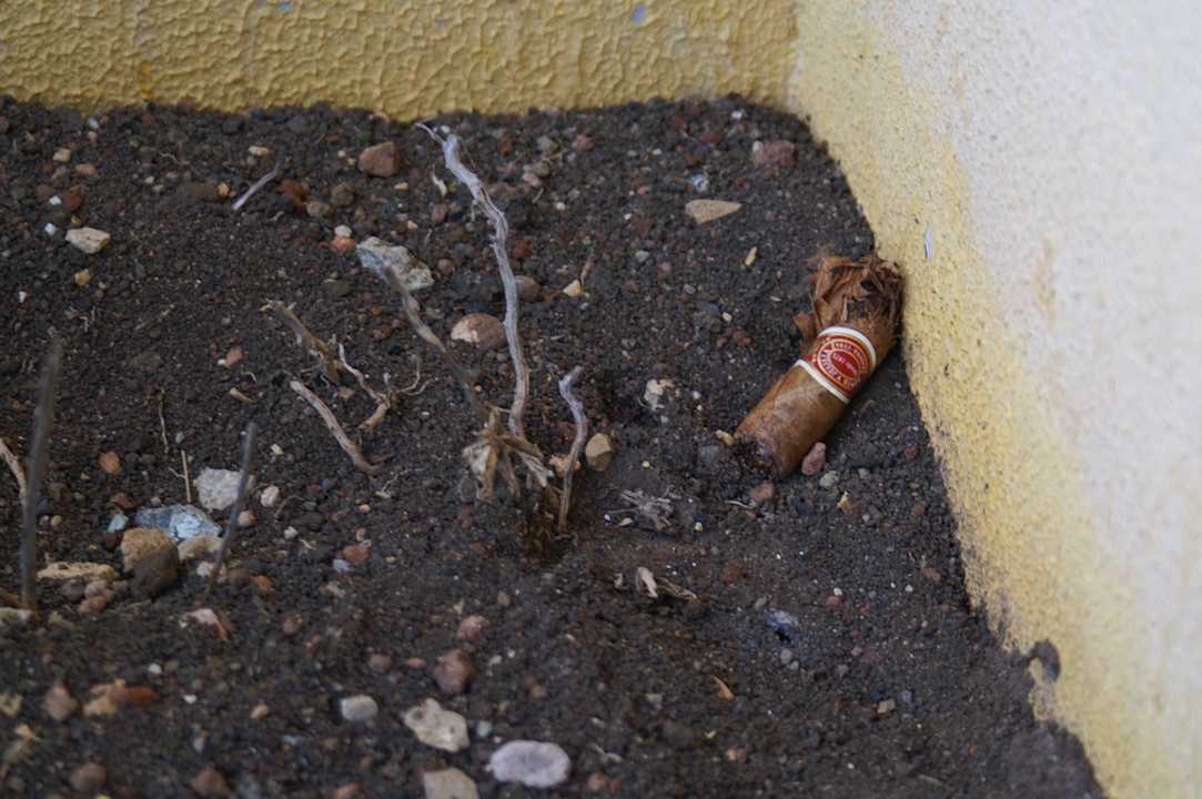 Balkonbepflanzung, na ja... Melia Las Antillas - Adults only