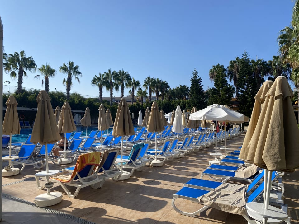 Pool Hane Family Resort