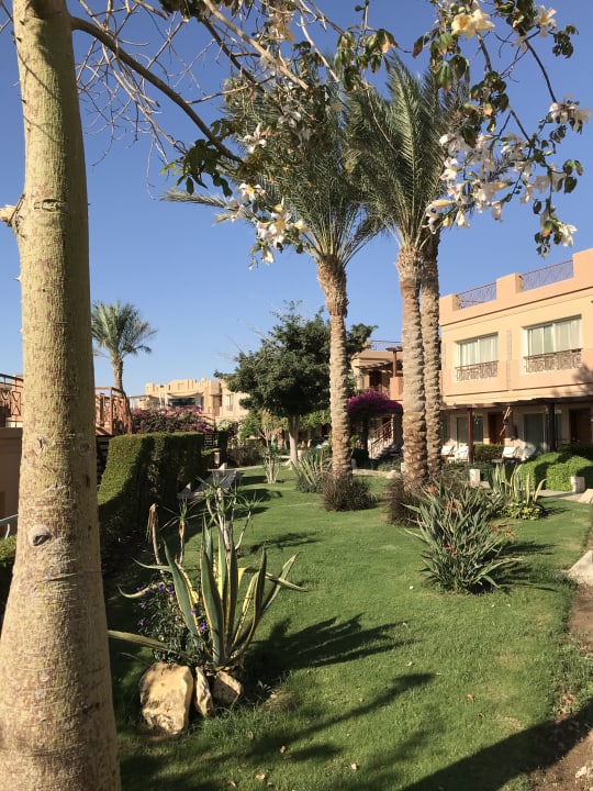 Außenansicht Shams Prestige Abu Soma-Adults Only