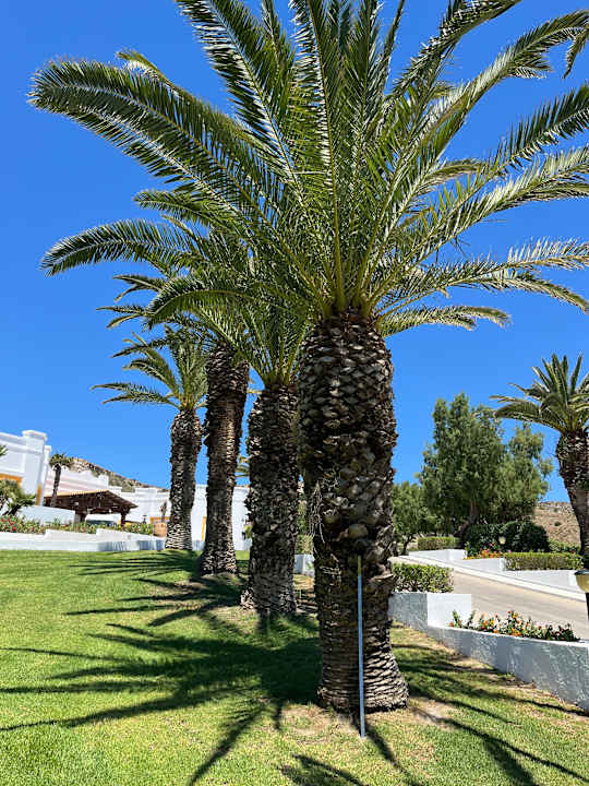 Außenansicht Lagas Aegean Village