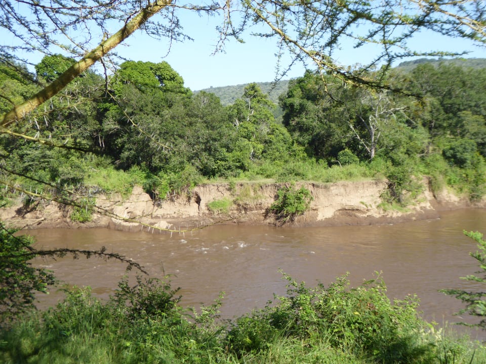 Sonstiges Royal Mara Safari Lodge