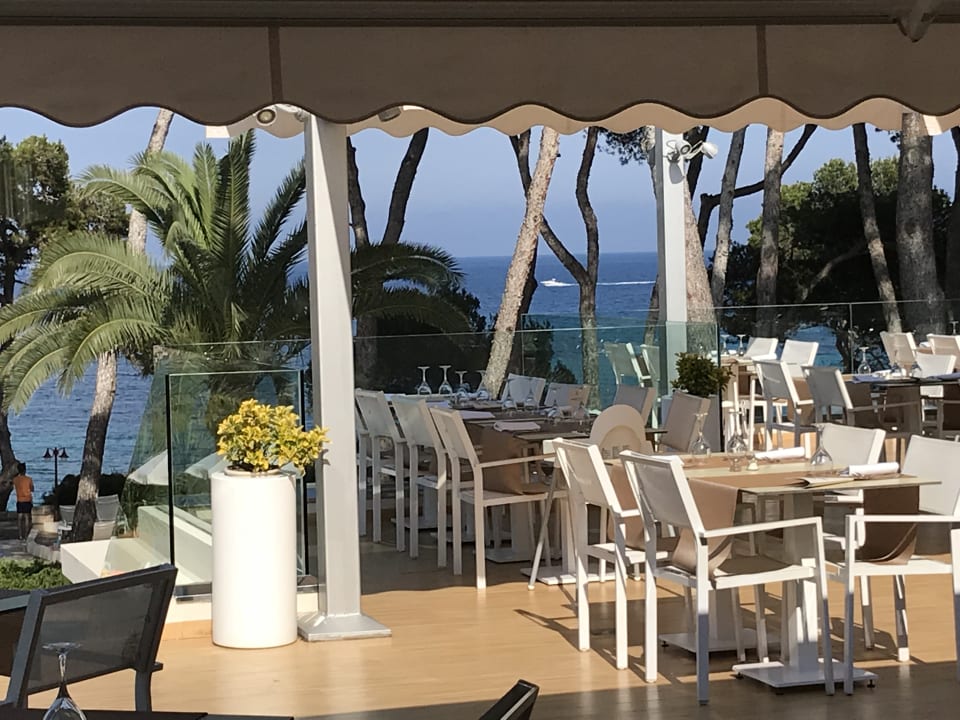 Ausblick Iberostar Waves Pinos Park