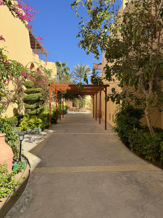 Gartenanlage Steigenberger Coraya Beach - Adults only