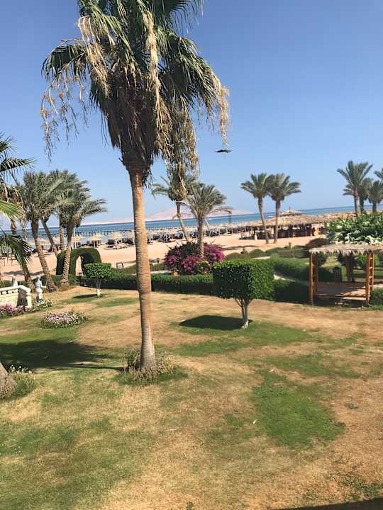 Gartenanlage Regency Plaza Aqua Park & Spa