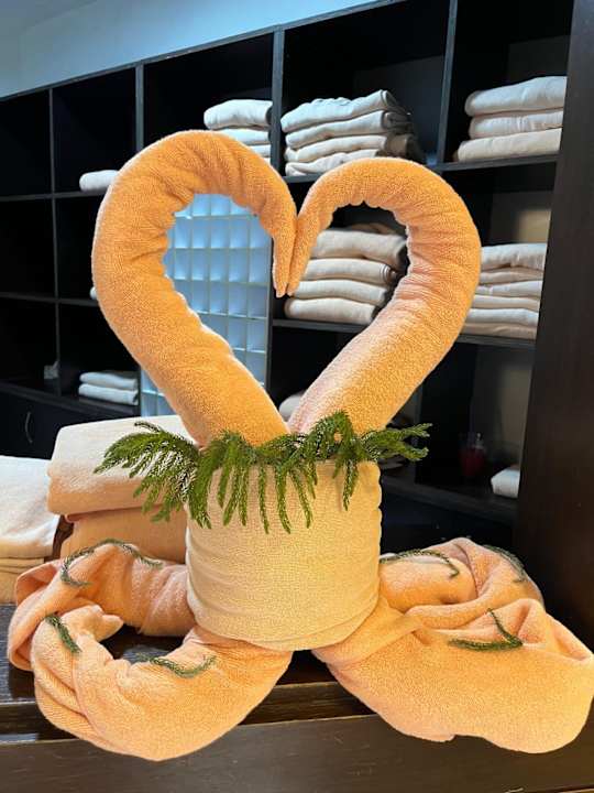 Sonstiges Hotel Delphin Imperial