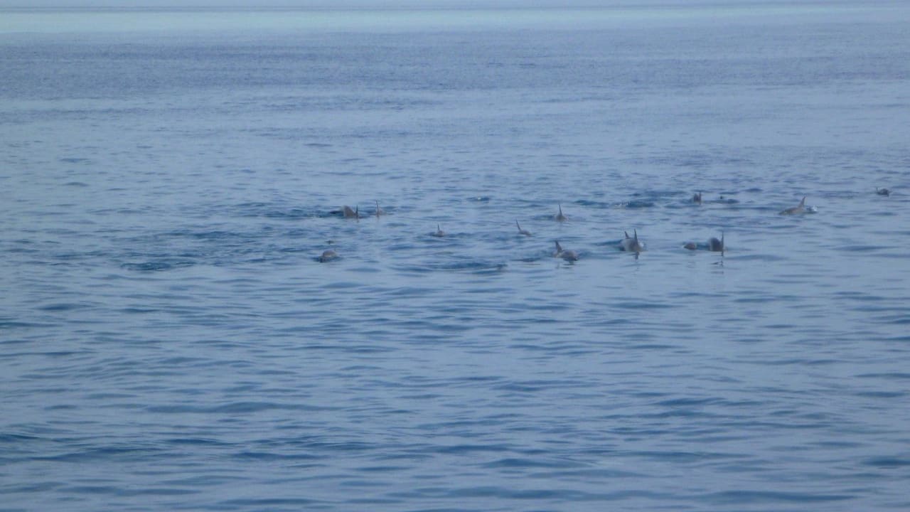 Delphine Adaaran Select Hudhuran Fushi - Premium All Inclusive