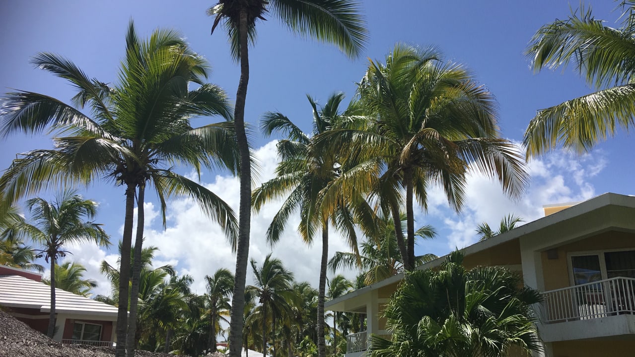 Ausblick Grand Palladium Select Bávaro Resort & Spa
