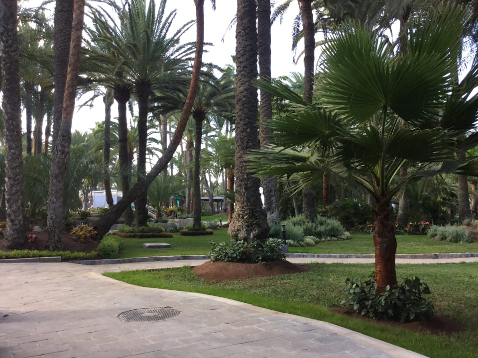Gartenanlage Hotel Riu Palace Oasis