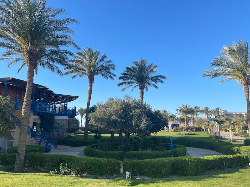 Gartenanlage Palm Royale Resort - Soma Bay