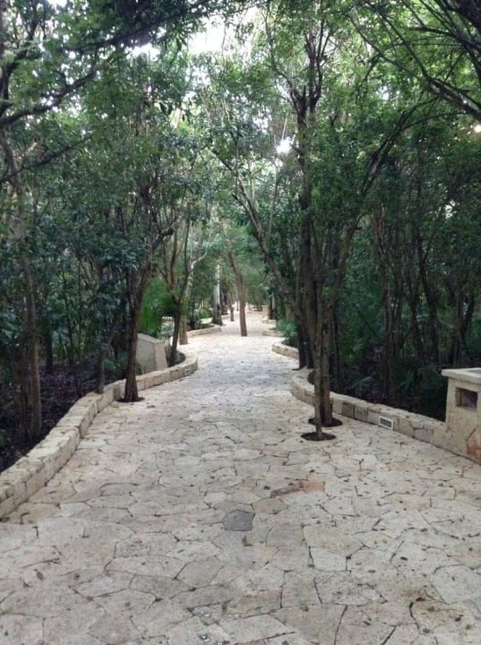 Weg vom Strand zu den Zimmern Catalonia Royal Tulum Beach & Spa Resort - Adults only