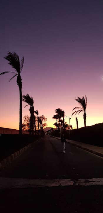 Ausblick Pickalbatros Alf Leila Wa Leila Resort - Neverland Hurghada