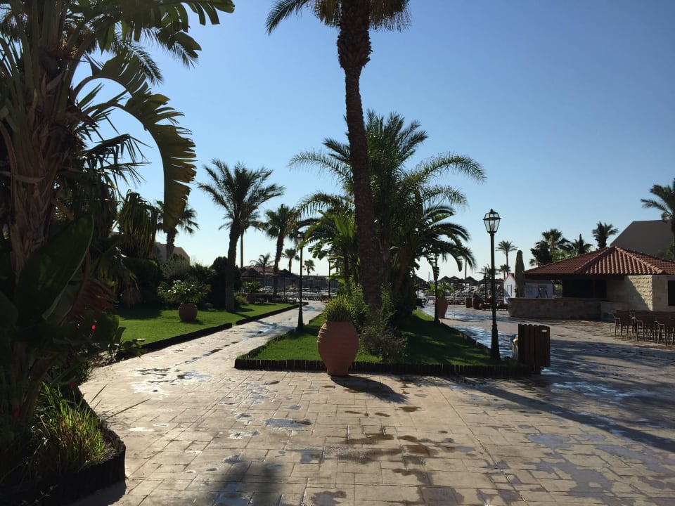 Ogród Atlantica Aegean Blue