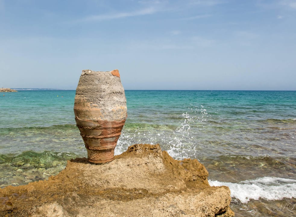 Vase allsun Hotel Carolina Mare