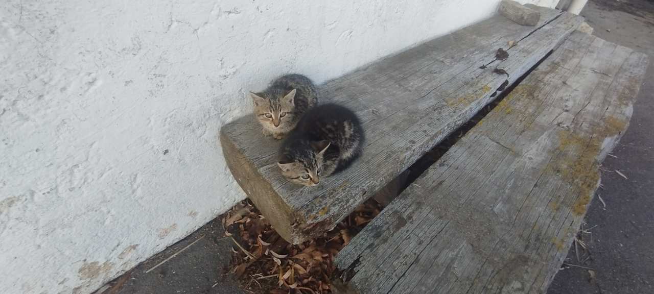 Sonstiges Ferienhof Dannerbauer