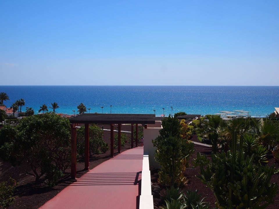 Weg zum Strand mit Ausblick aufs Meer Iberostar Waves Gaviotas Park