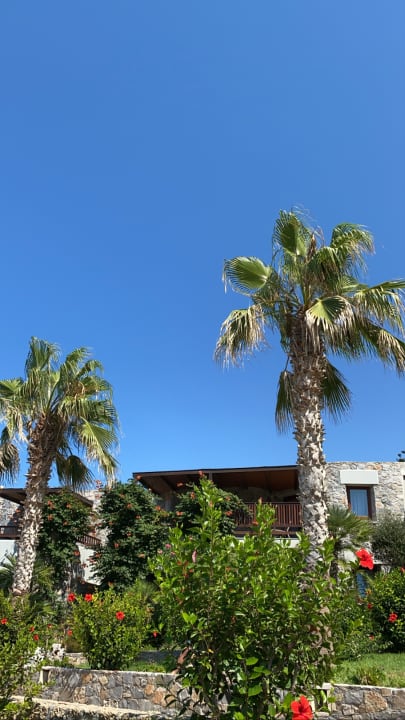 Gartenanlage Ikaros Beach Luxury Resort & Spa - Adults Only