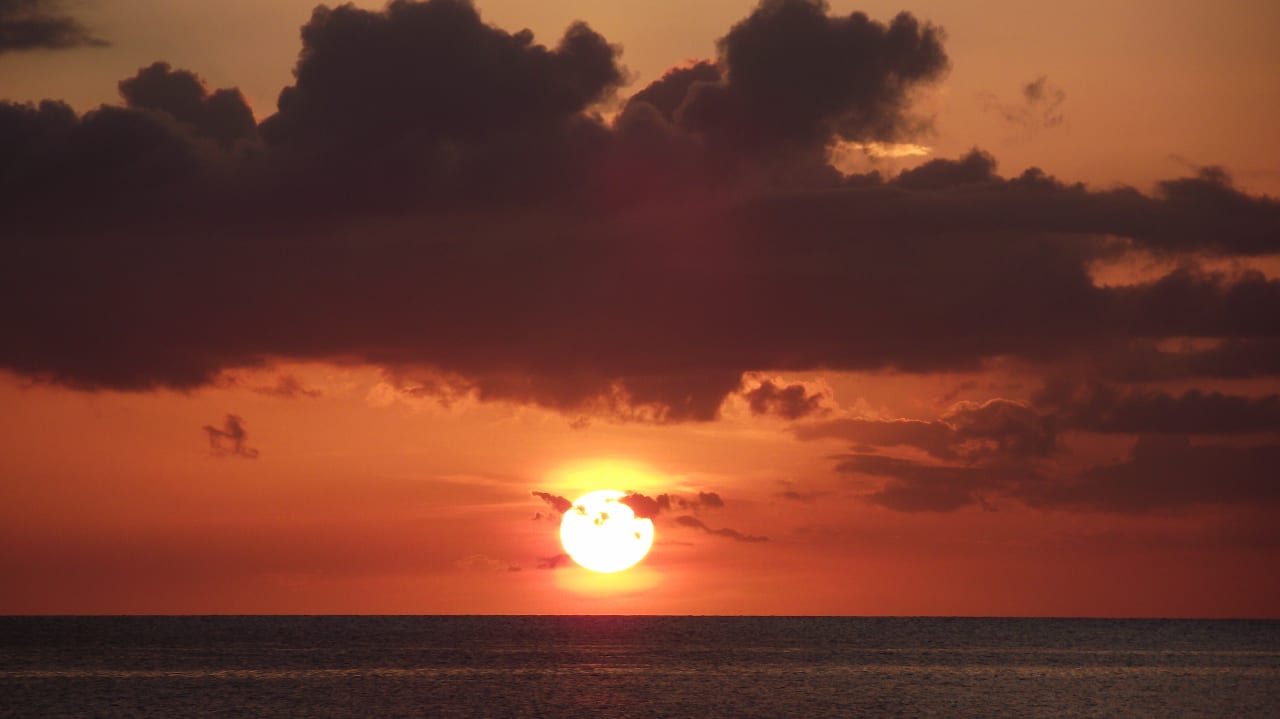 Ausblick Iberostar Selection Hacienda Dominicus