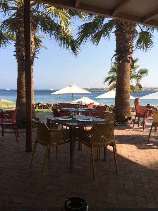 Gastro Fort Arabesque Resort, Spa & Villas