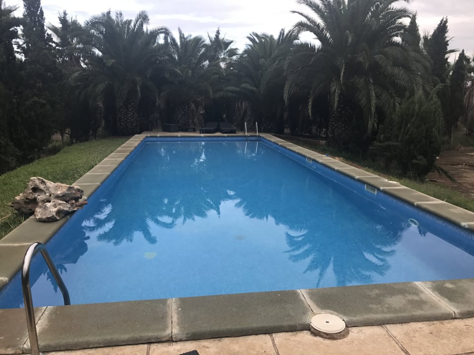 Pool Finca Es Palmer