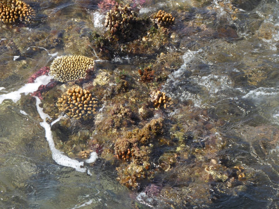 Strand Casa Mare Resort